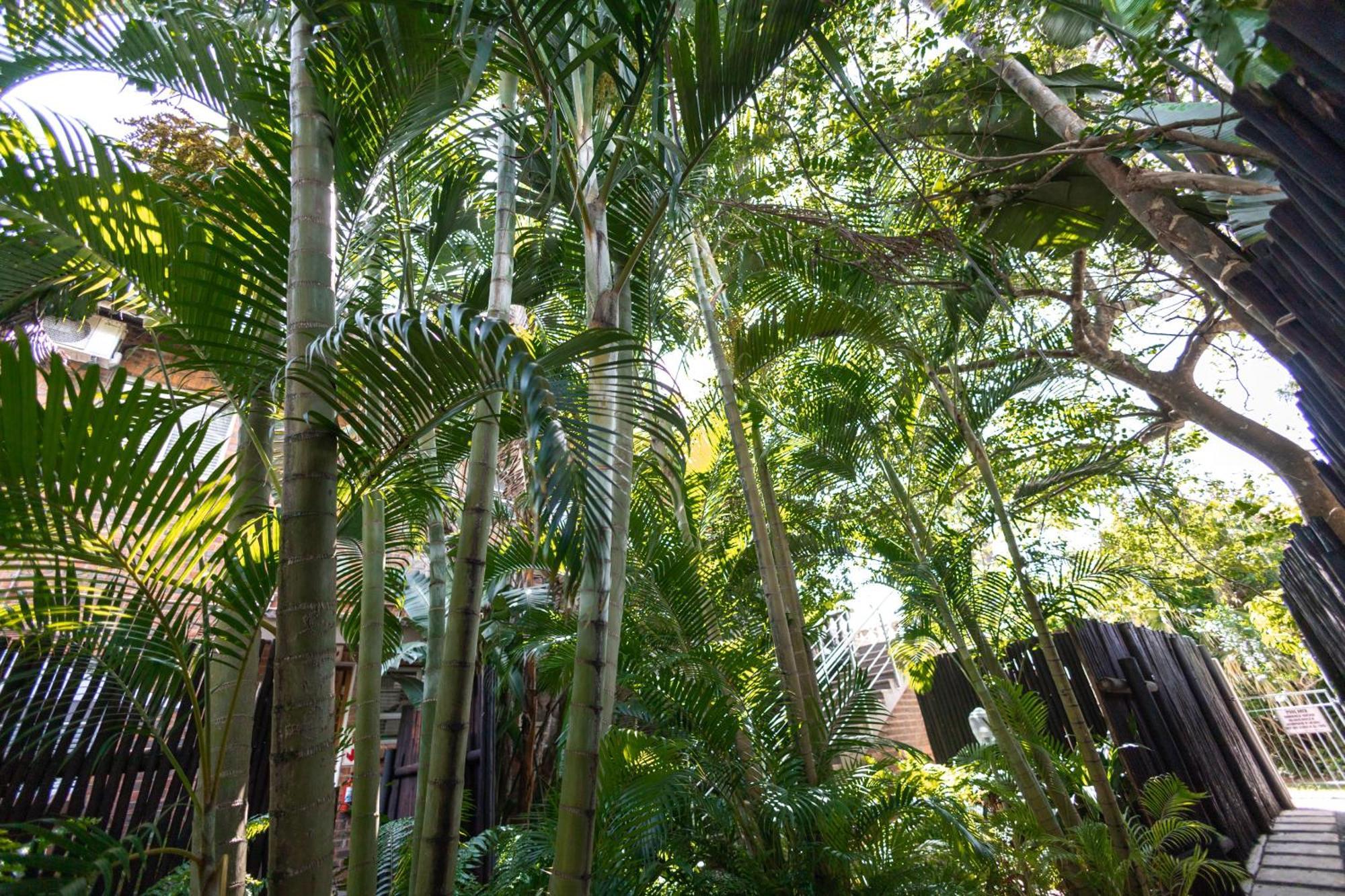 Little Eden St Lucia Apartment Luaran gambar